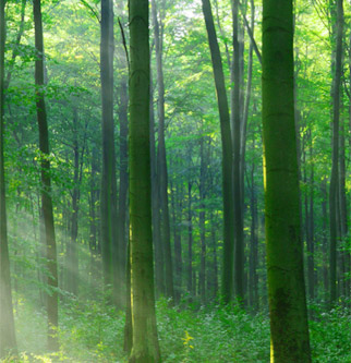 永利·yl(中国集团)有限公司官网