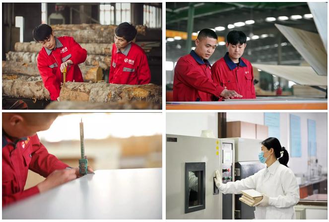 永利·yl(中国集团)有限公司官网