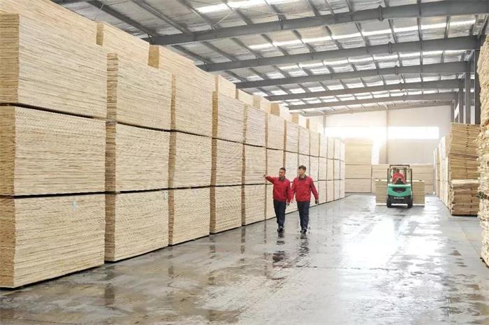 永利·yl(中国集团)有限公司官网