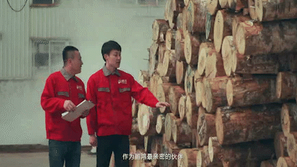 永利·yl(中国集团)有限公司官网