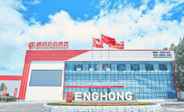 永利·yl(中国集团)有限公司官网