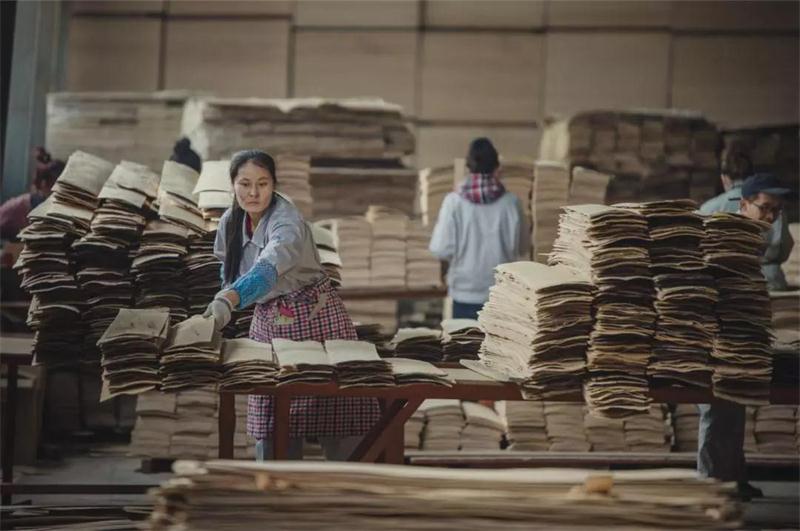 永利·yl(中国集团)有限公司官网