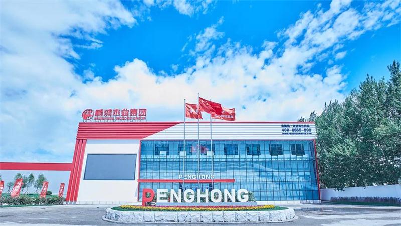 永利·yl(中国集团)有限公司官网