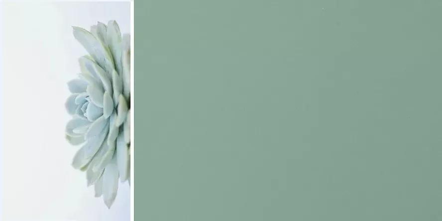 永利·yl(中国集团)有限公司官网