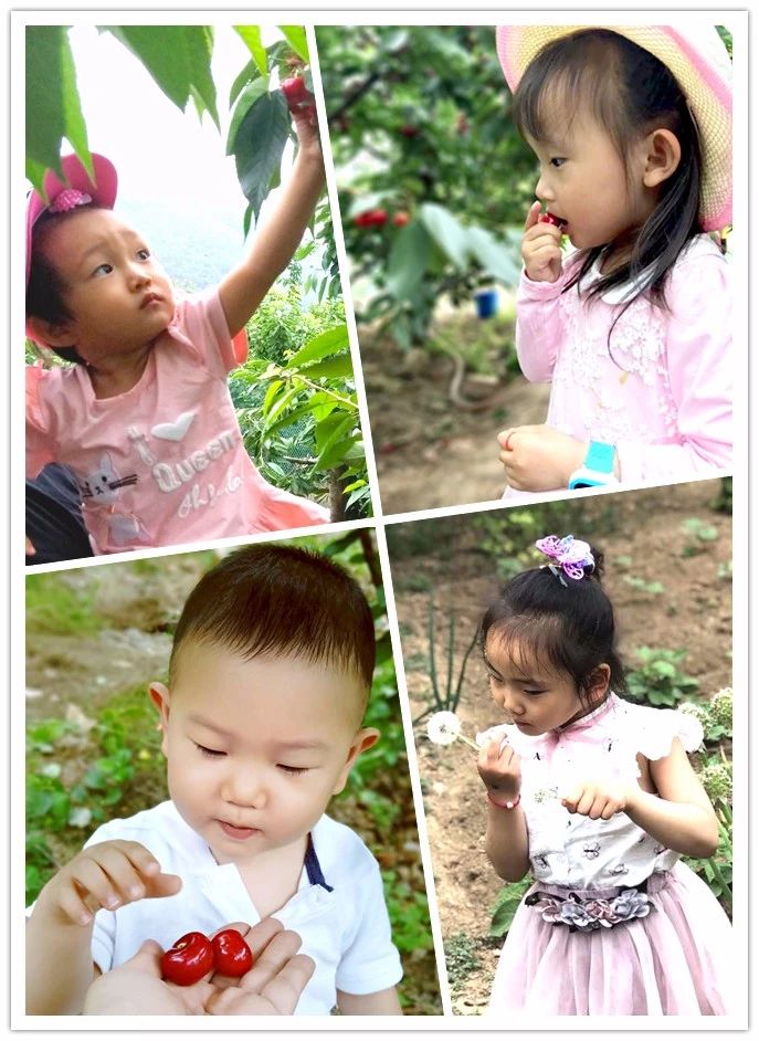 永利·yl(中国集团)有限公司官网