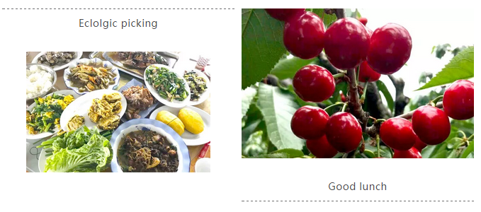 永利·yl(中国集团)有限公司官网