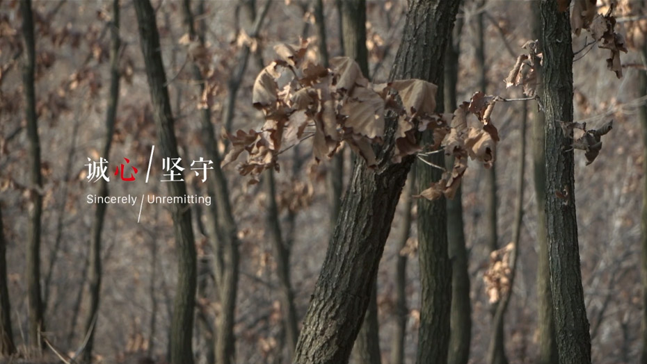 永利·yl(中国集团)有限公司官网